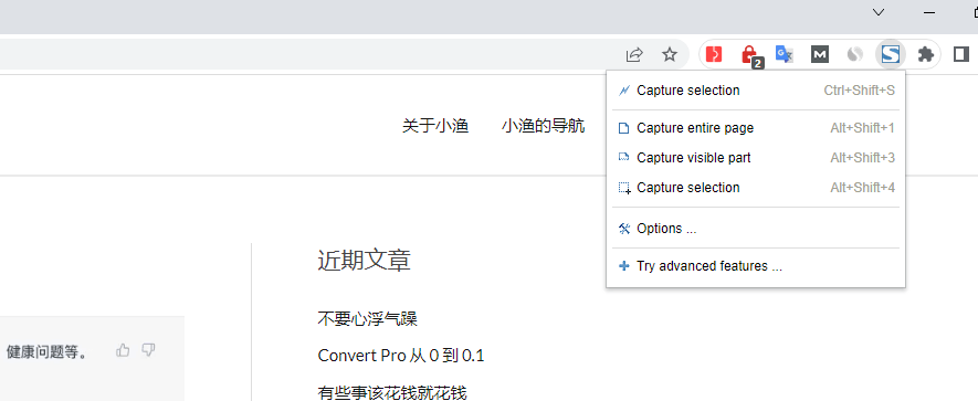 2 种快速保存网页截图的方法 1 FireShot options