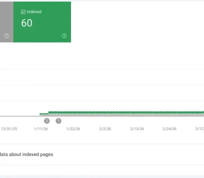 网站全是已抓取未收录-1